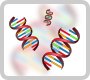 Flickr DNA