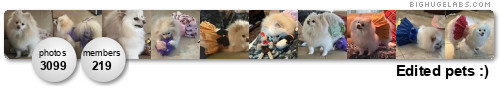 Edited pets :). Get yours at bighugelabs.com