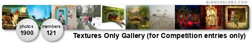 Textures Only Gallery (for Competition entries only). Get yours at bighugelabs.com