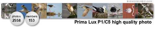 Prima Lux. Get yours at bighugelabs.com Prima Lux. Get yours at bighugelabs.com