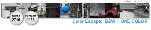 Color Escape: Black, White, Neutral + 1 Color. Get yours at bighugelabs.com