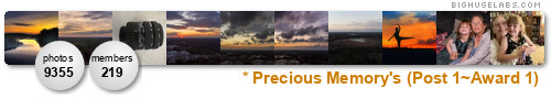 * Precious Memory's (Post 1~Award 1). Get yours at bighugelabs.com