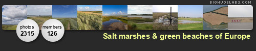 Salt marshes & green beaches of Europe. Get yours at bighugelabs.com
