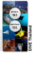 Join the DIVE Thailand flickr group Join the DIVE Thailand flickr group