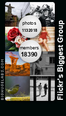 Flickr's Biggest Group. Get yours at bighugelabs.com