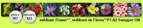 **✿Album Flower**_**✿Album de Flores**P1 A2 Swepper ON. Get yours at bighugelabs.com **✿Album Flower**_**✿Album de Flores**P1 A2 Swepper ON. Get yours at bighugelabs.com