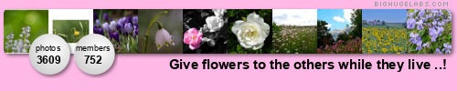 Give flowers to the others while they live ... Get yours at bighugelabs.com Give flowers to the others while they live ... Get yours at bighugelabs.com