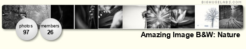 Amazing Image B&W: Nature. Get yours at bighugelabs.com
