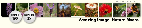 Amazing Image: Nature Macro. Get yours at bighugelabs.com