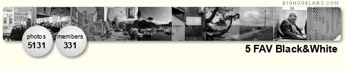 5 FAV Black&White (with moderated pool). Get yours at bighugelabs.com