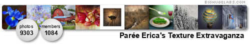 Parée Erica's Texture Extravaganza. Get yours at bighugelabs.com