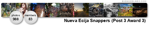 Nueva Ecija Snappers. Nueva Ecija Snappers.