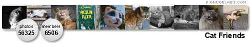 Cat Friends P1/C2. Get yours at bighugelabs.com