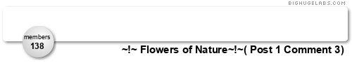 ~!~ Flowers of Nature~!~. Get yours at bighugelabs.com