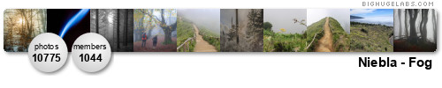 Niebla - Fog. Get yours at bighugelabs.com