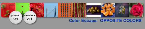 Color Escape: Complimentary Contrasts. Get yours at bighugelabs.com