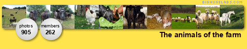 The animals of the farm. Get yours at bighugelabs.com