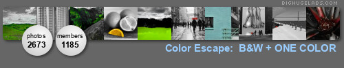 Color Escape: Black, White, Neutral + 1 Color. Get yours at bighugelabs.com