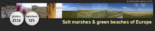 Salt marshes & green beaches of Europe. Get yours at bighugelabs.com Salt marshes & green beaches of Europe. Get yours at bighugelabs.com
