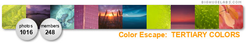 Color Escape: Tertiary Colors. Get yours at bighugelabs.com