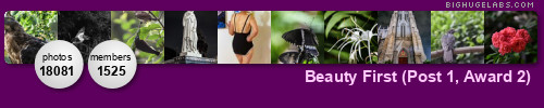 Beauty First (Post 1, Award 2). Get yours at bighugelabs.com Beauty First (Post 1, Award 2). Get yours at bighugelabs.com