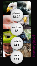 tammyjq41. Get yours at bighugelabs.com tammyjq41. Get yours at bighugelabs.com