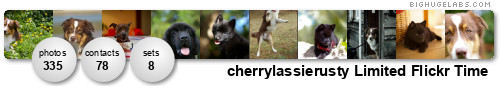 cherrylassierusty. Get yours at bighugelabs.com