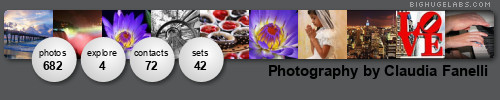 Lehigh Valley Shutterbug Photography. Get yours at bighugelabs.com Lehigh Valley Shutterbug Photography. Get yours at bighugelabs.com