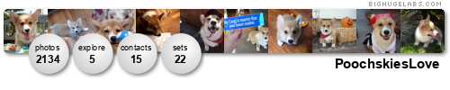 PoochskiesLove. Get yours at bighugelabs.com PoochskiesLove. Get yours at bighugelabs.com