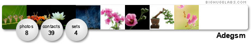 adegsm@. Get yours at bighugelabs.com