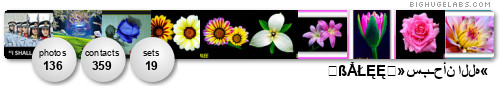 ღßẲŁĘĘღ»سبــحأن الله«. Get yours at bighugelabs.com ღßẲŁĘĘღ»سبــحأن الله«. Get yours at bighugelabs.com