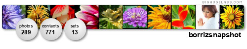 borrizsnapshot. Get yours at bighugelabs.com