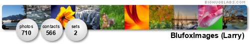 BlufoxImages (Larry). Get yours at bighugelabs.com BlufoxImages (Larry). Get yours at bighugelabs.com
