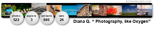 Diana Q.. Get yours at bighugelabs.com