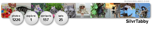 SilvrTabby. Get yours at bighugelabs.com