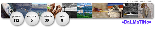 »DaLMaTiNo«. Get yours at bighugelabs.com