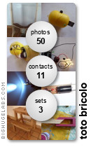 toto bricolo. Get yours at bighugelabs.com