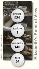 Elizabeth's Point of View. Get yours at bighugelabs.com