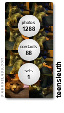 teensleuth. Get yours at bighugelabs.com