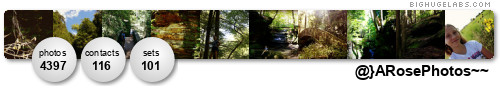 Amber Rose Photography. Get yours at bighugelabs.com