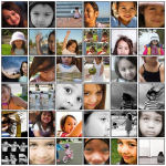 Make a mosaic from a photoset, favorites, tags, or individual digital photographs or images.