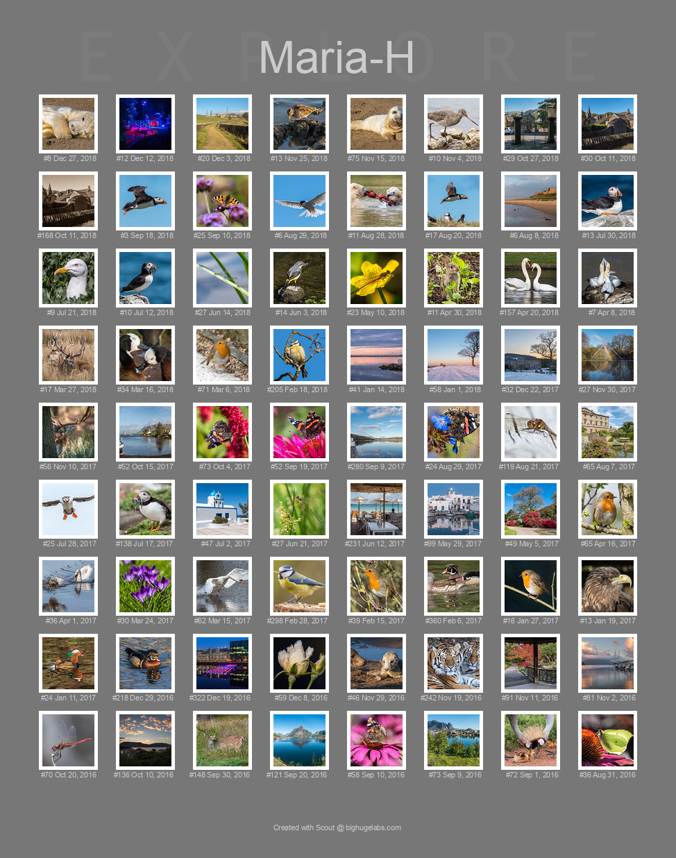 Find your photos in Flickr's Explore pages. Make a unique poster to show the world your achievement.