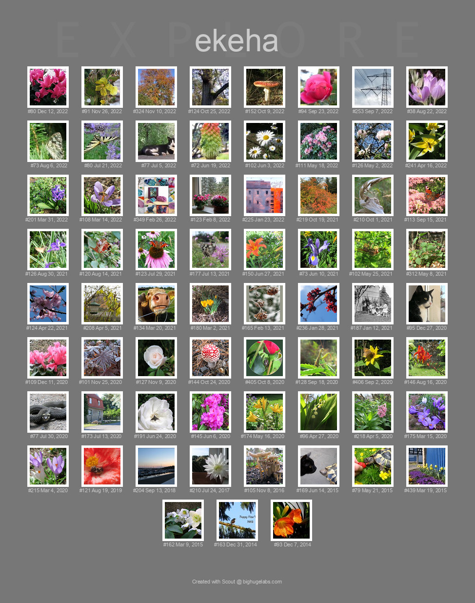 Find your photos in Flickr's Explore pages. Make a unique poster to show the world your achievement.