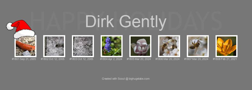 Find your photos in Flickr's Explore pages. Make a unique poster to show the world your achievement.