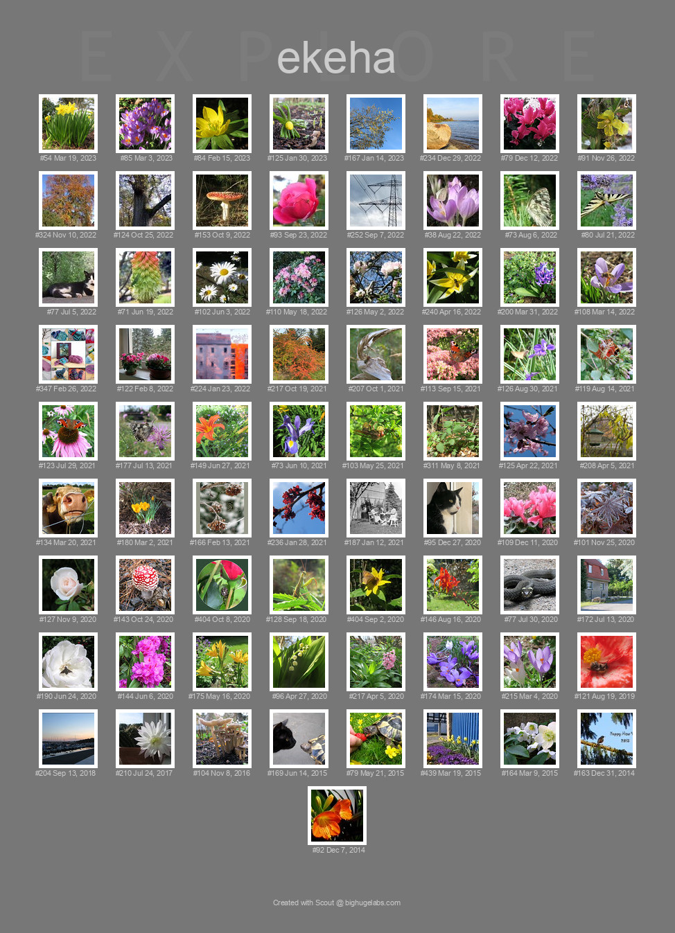 Find your photos in Flickr's Explore pages. Make a unique poster to show the world your achievement.