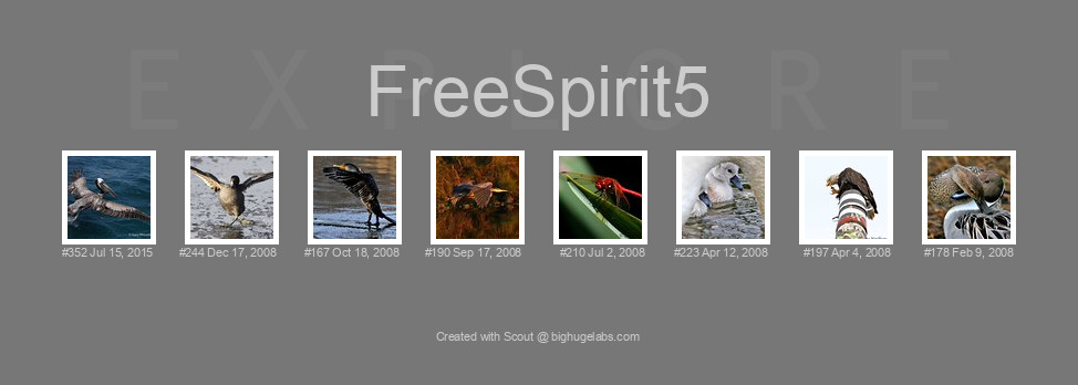 Find your photos in Flickr's Explore pages. Make a unique poster to show the world your achievement.