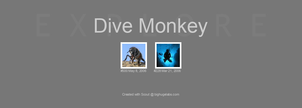 Find your photos in Flickr's Explore pages. Make a unique poster to show the world your achievement.