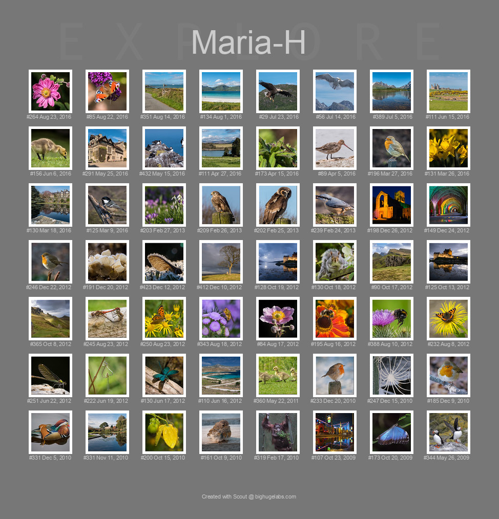 Find your photos in Flickr's Explore pages. Make a unique poster to show the world your achievement.