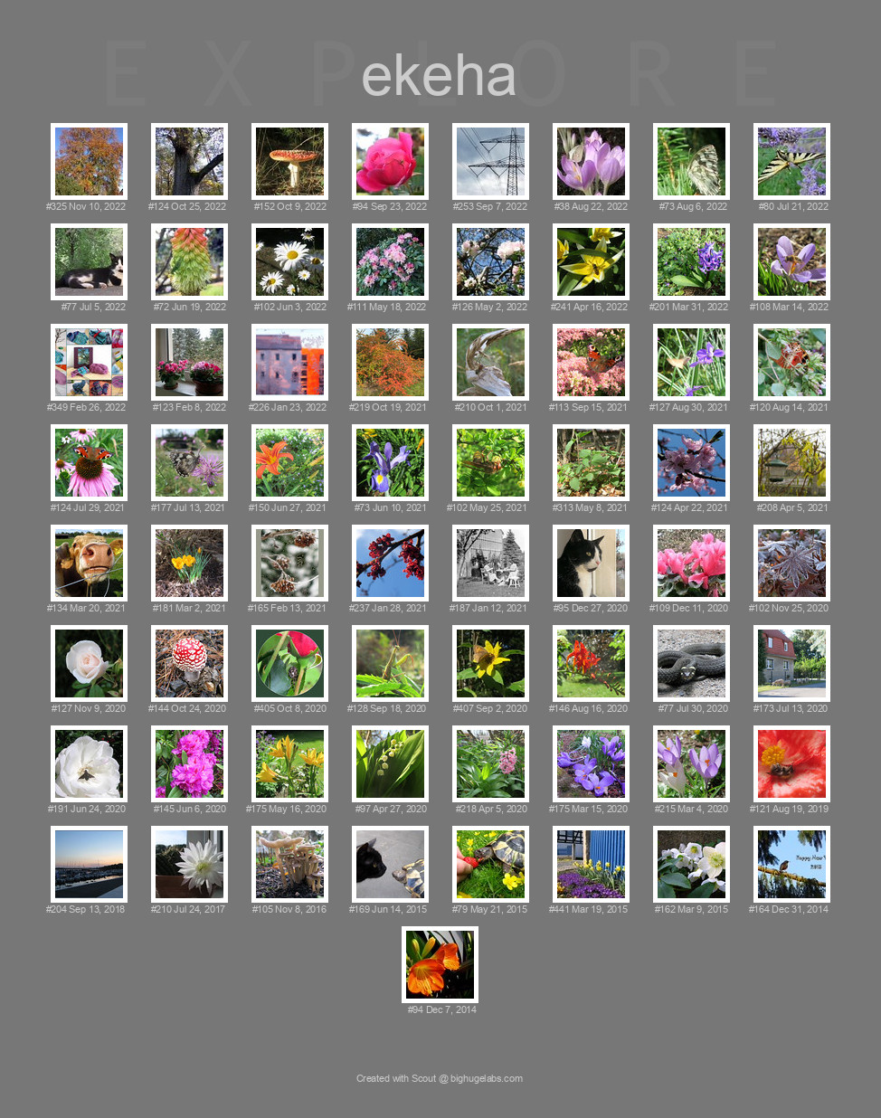 Find your photos in Flickr's Explore pages. Make a unique poster to show the world your achievement.