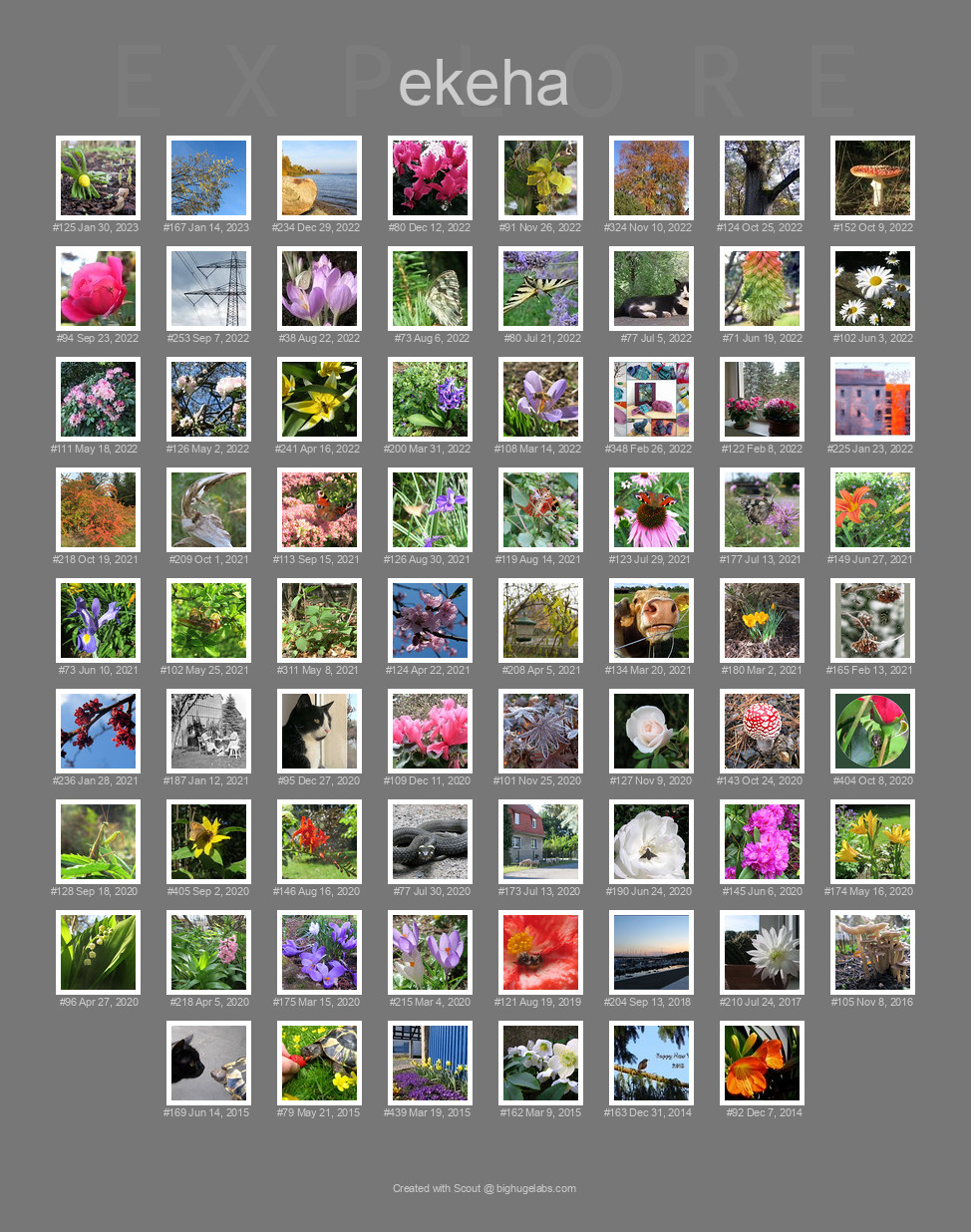 Find your photos in Flickr's Explore pages. Make a unique poster to show the world your achievement.